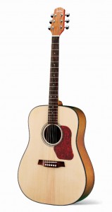 Walden D 550 Natura Westerngitarre
